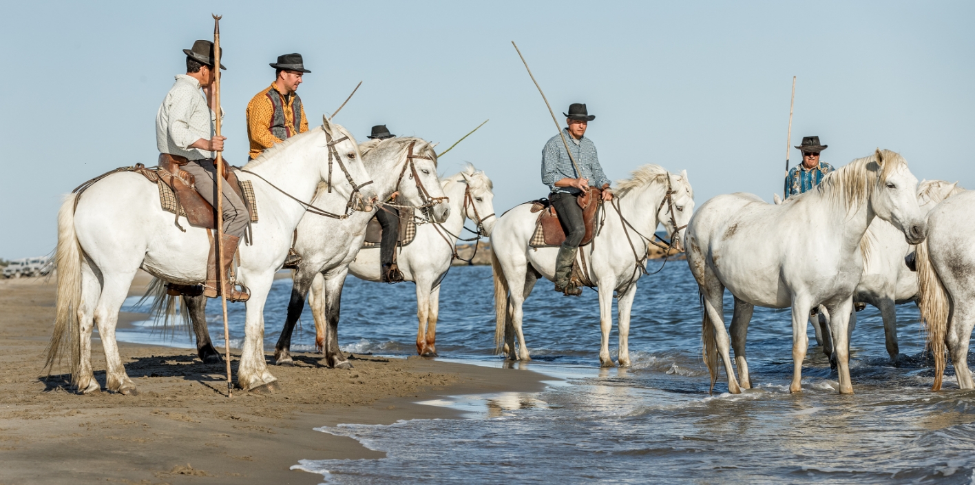 Traditions Camarguaises